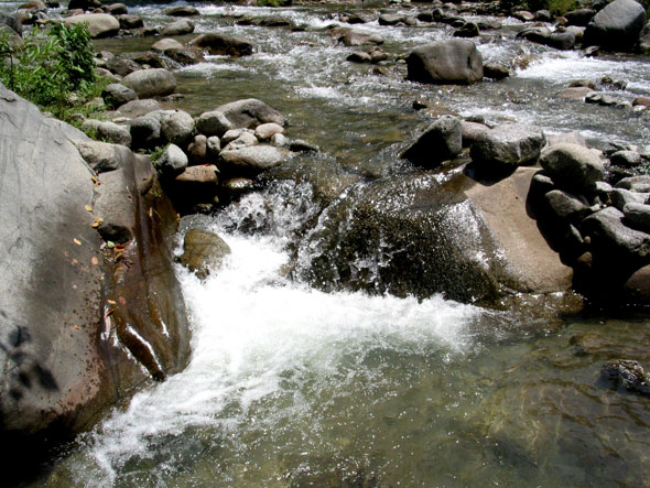 The Swat river is populated by trouts.